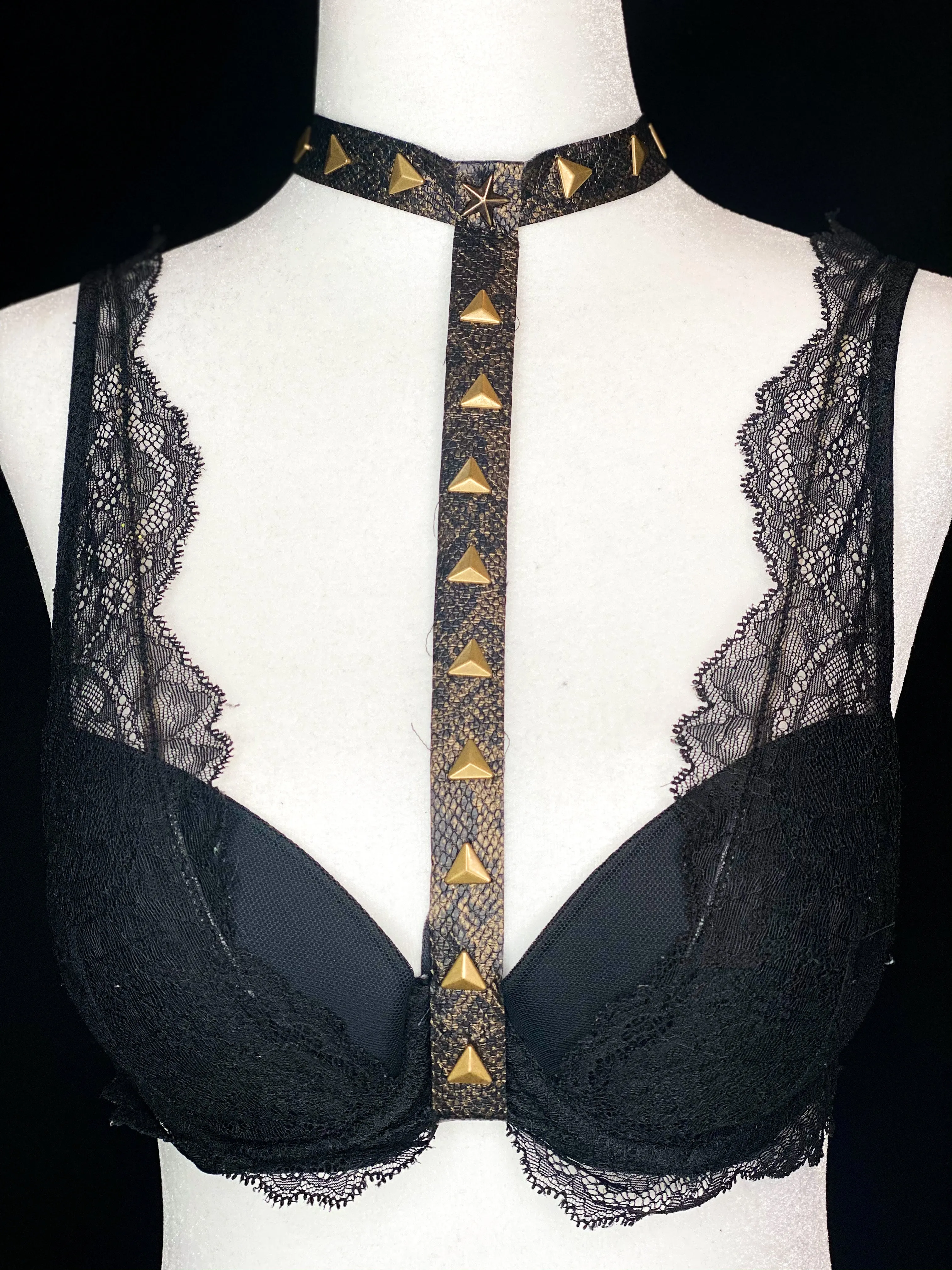 Detachable Bra Choker / Harness