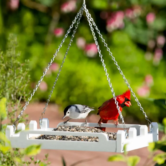 Duncraft White Picket Fence Platform Feeder